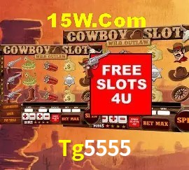 Promoções Sazonais Tg5555